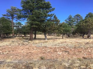 4601 Durango Dr, Happy Jack, AZ 86024