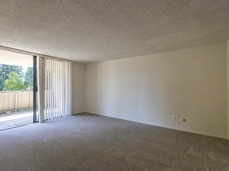 Continental Apartment Homes — Photo 29