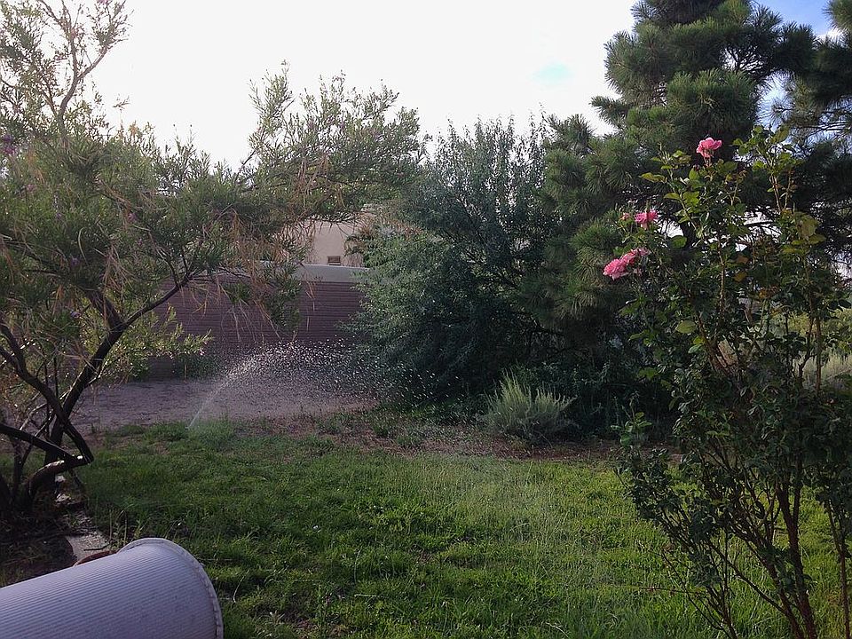 front lawn
