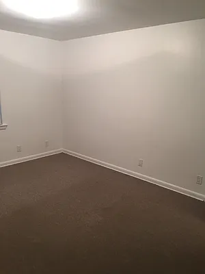 Rented by Bird & Swing LLC | media 37