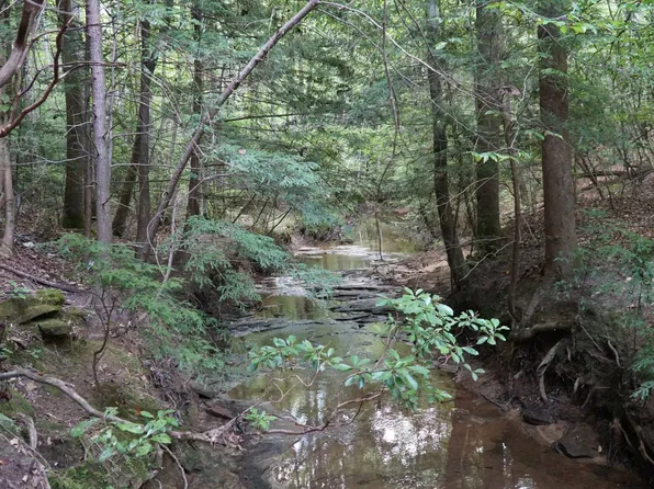 0 County Road 17, Haleyville, AL 35565