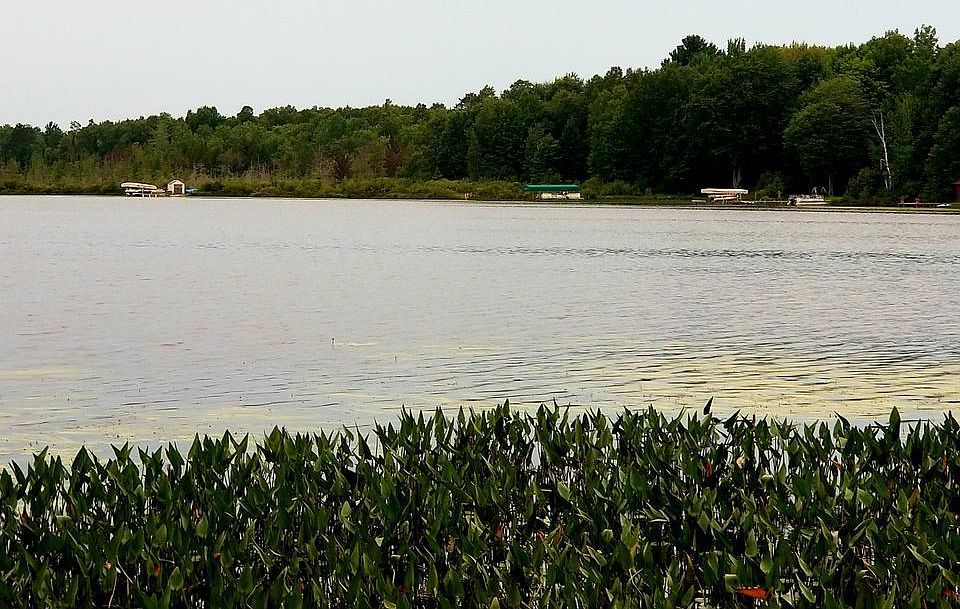1st image of 2 E Pier Lake Rd #E
