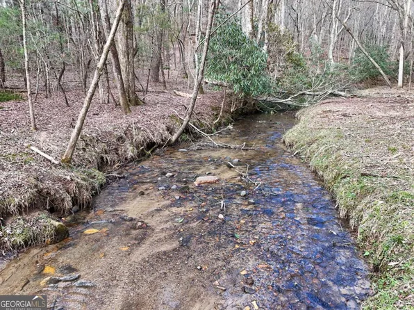 LOT-45B Synacia Dr, Mineral Bluff, GA 30559