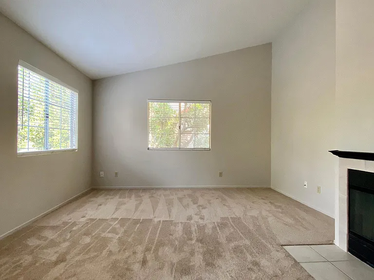 25538 Azalea — Photo 4