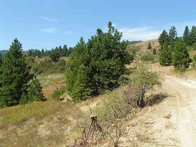 2nd image of 5 Palamar Ct