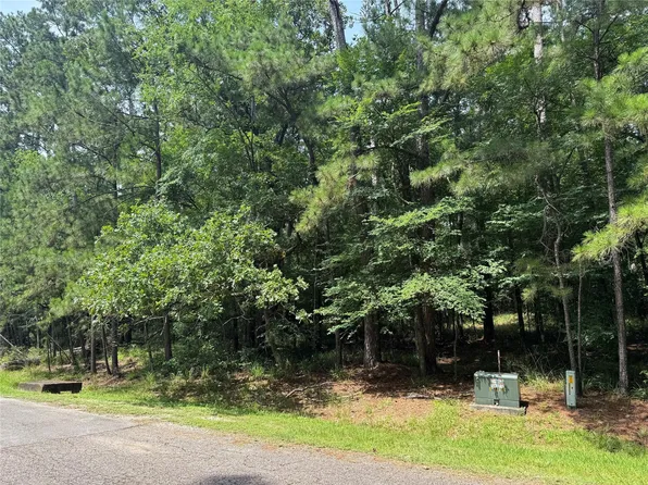 75 Green Tree Dr Lot 17, Coldspring, TX 77331