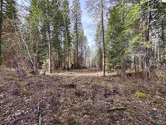 4th image of Nna No End Rd