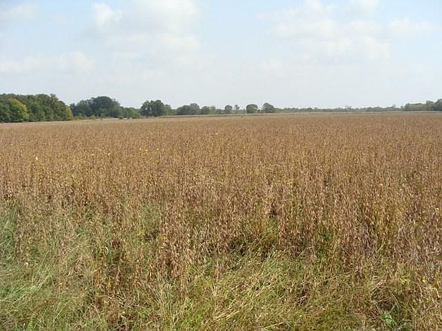 1st image of 10308 Highway 79 N
