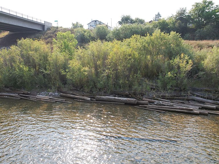 Listing photo