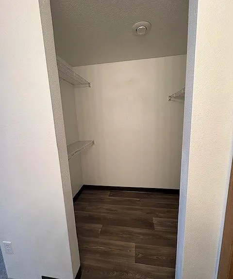 Apartment - Primary Bedroom Walkin Closet