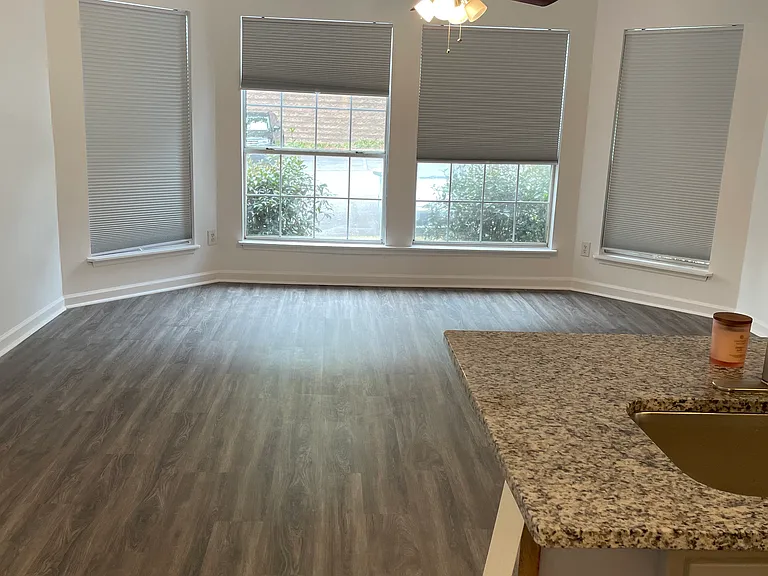 1004 Sandy Lane Dr — Photo 6