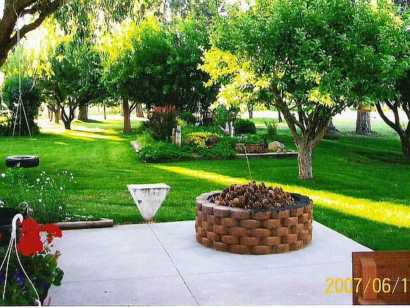 Fruit Trees of patio