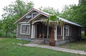 Nice Palm Tree