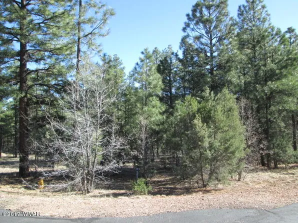 4241 Wild Iris Ln, Show Low, AZ 85901