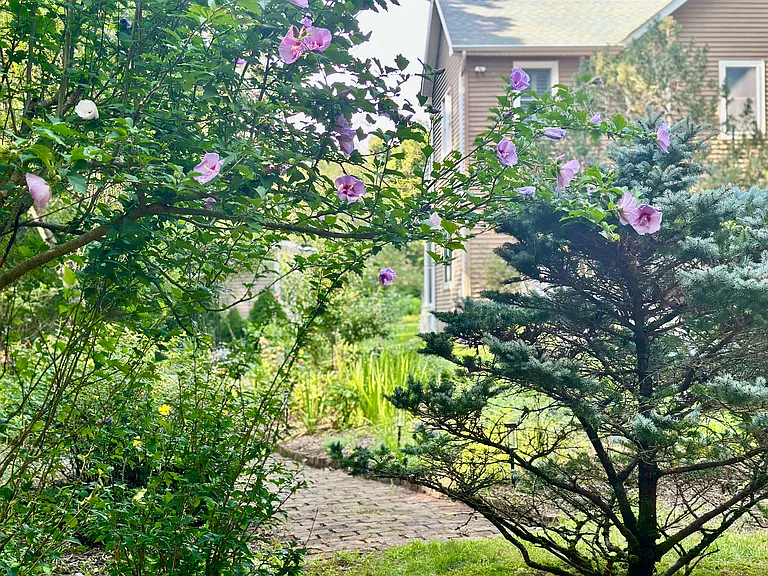 3 1st Pl — Photo 12