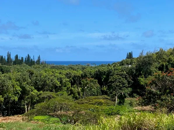 Kanaele Rd Lot 235-A, Kapaa, HI 96746