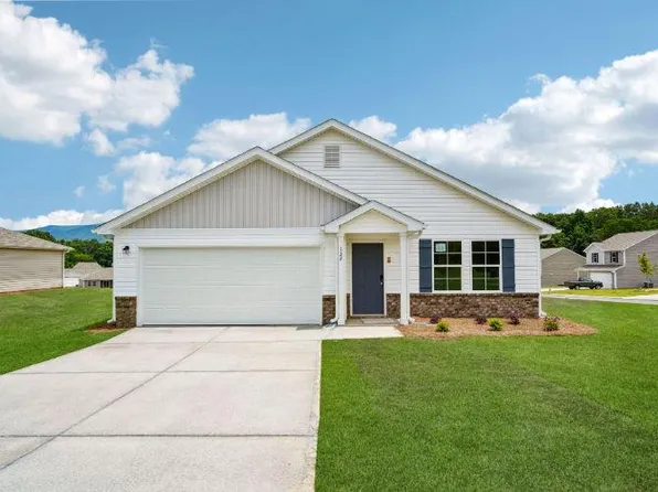 132 Wilson Rd, Chatsworth, GA 30705