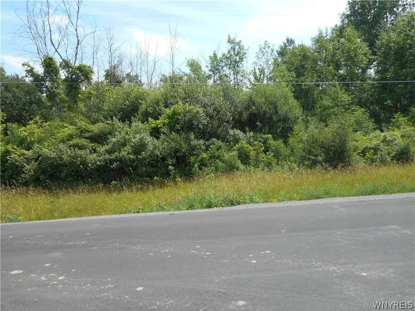 0 Drum Rd #17, Barker, NY 14012