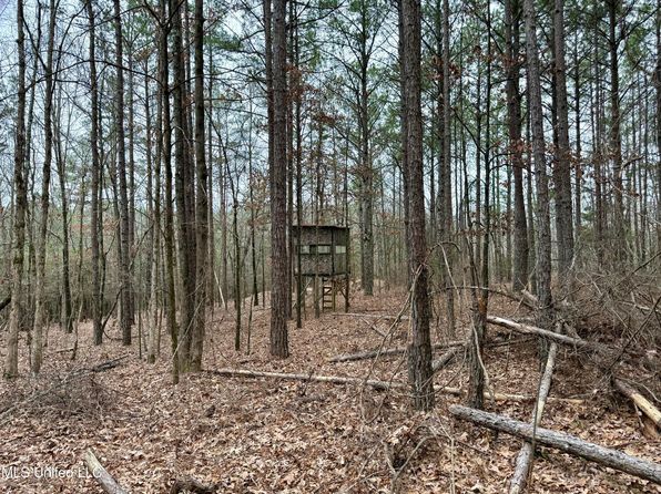 Laws Hill Rd, Holly Springs, MS 38635