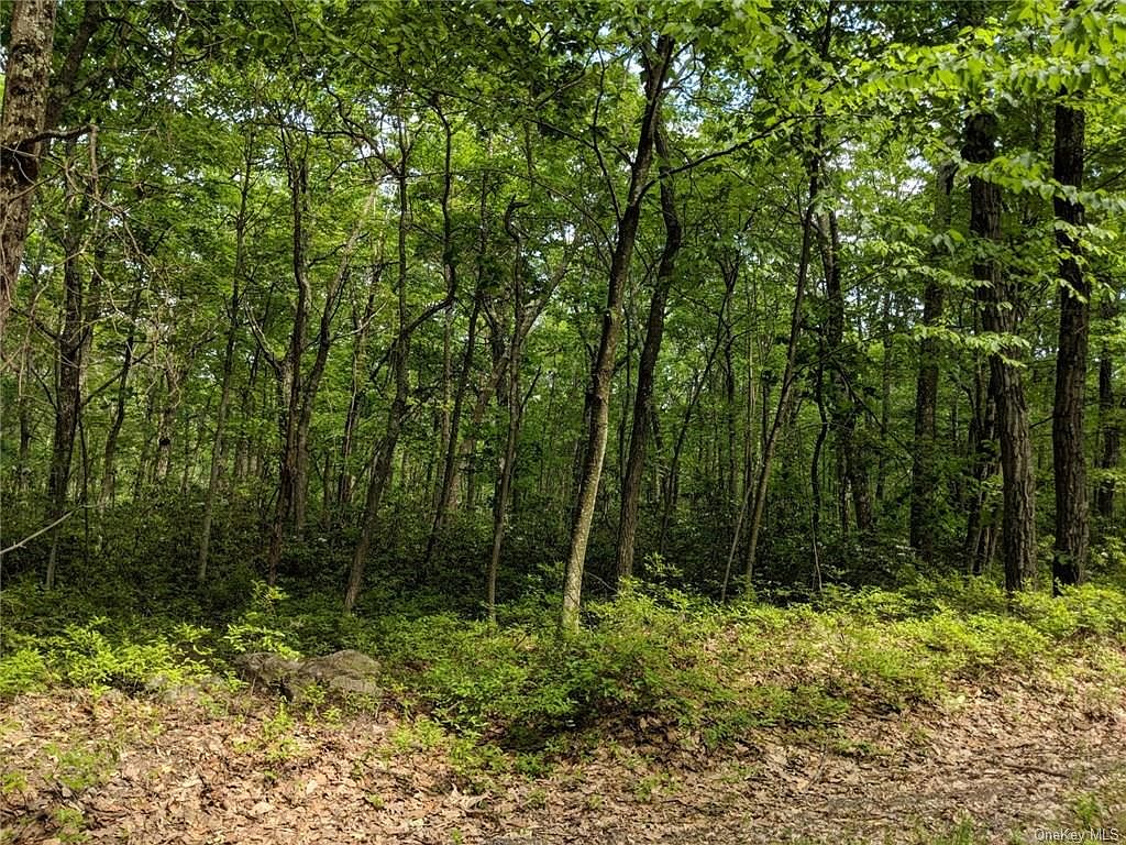 20.4 Kalin er Road, Glen Spey, NY 12737 Zillow