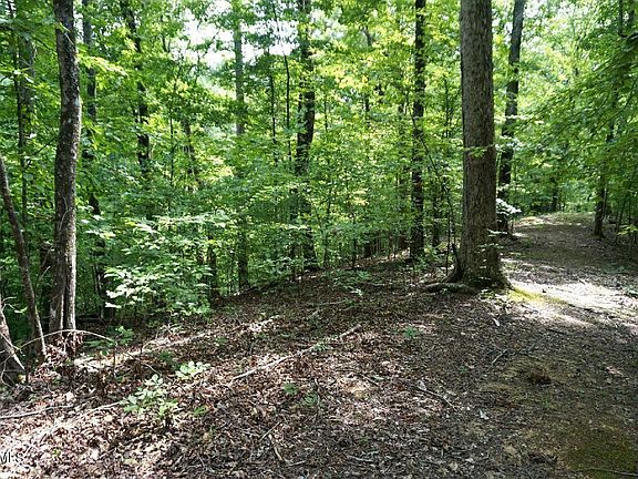 5th image of 732 Mossy Hollow Rd Lot 732