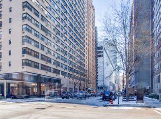 850 N Dewitt Pl APT 19A, Chicago, IL 60611