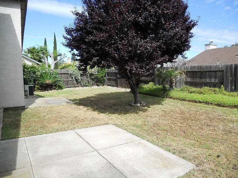 Backyard 2