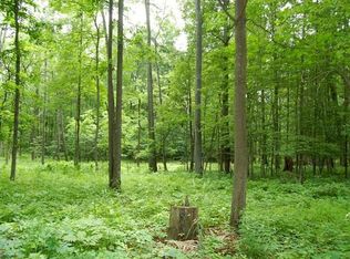 7701 Chamberlin Rd, Dexter, MI 48130