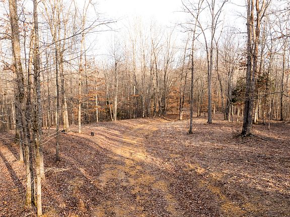 5th image of 6 Pinewood Rd