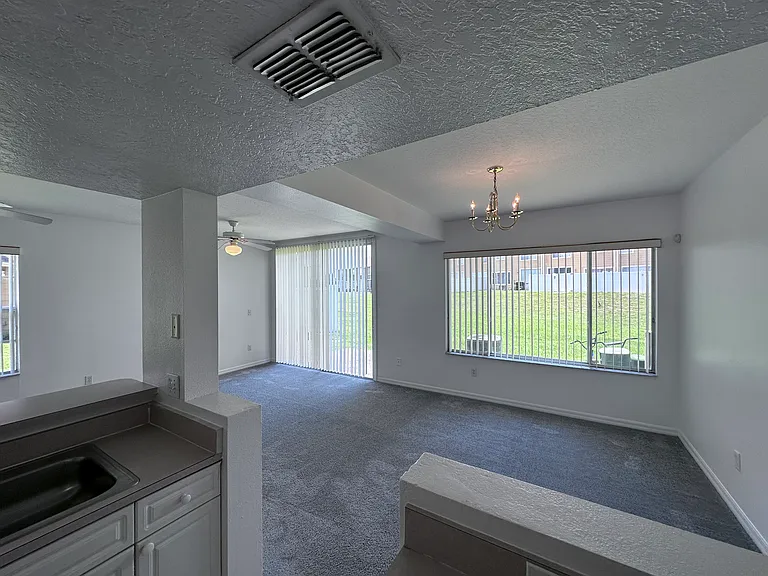 307 Coconut Palm Way — Photo 14