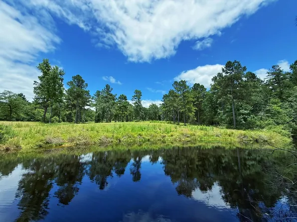 County Road 298, Oakwood, TX 75855