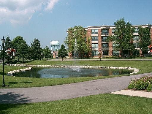 Pond