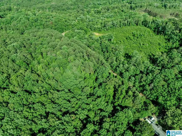 0 Glennwood Rd #3, Morris, AL 35116