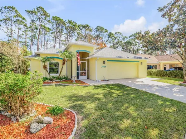 2853 Turnbull Estates Dr, New Smyrna Beach, FL 32168