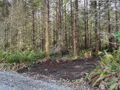 28840 Freelane Road, Carbonado, WA, 98323