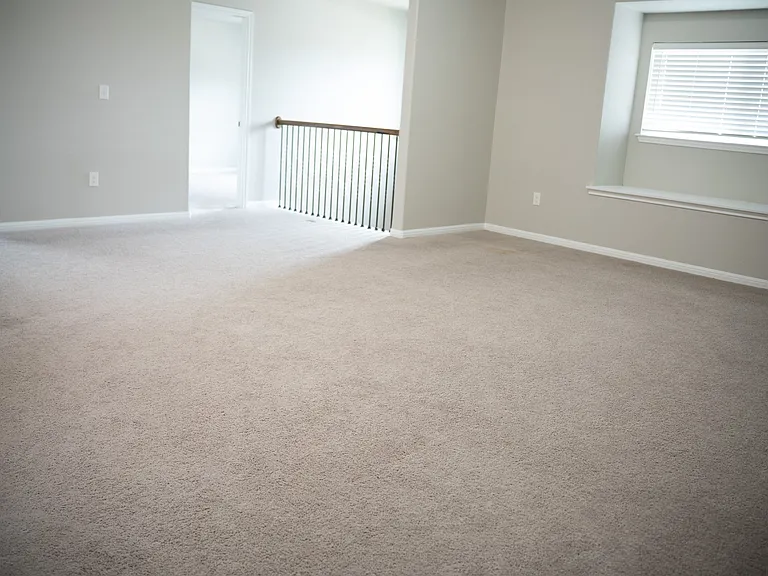532 Arrowhead Vine St — Photo 29