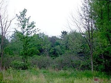 2nd image of 11138 Valley View Rd