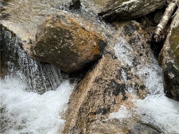 62+/- Acres Buckeye Ridge Road, Beech Mountain, NC 28604