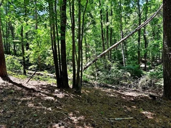 1491B Little Refuge Rd, Waleska, GA 30183