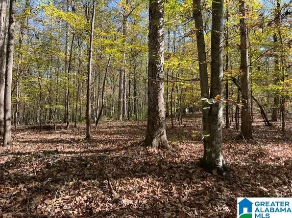 0 Dorough Rd #1 & 2, Columbiana, AL 35051
