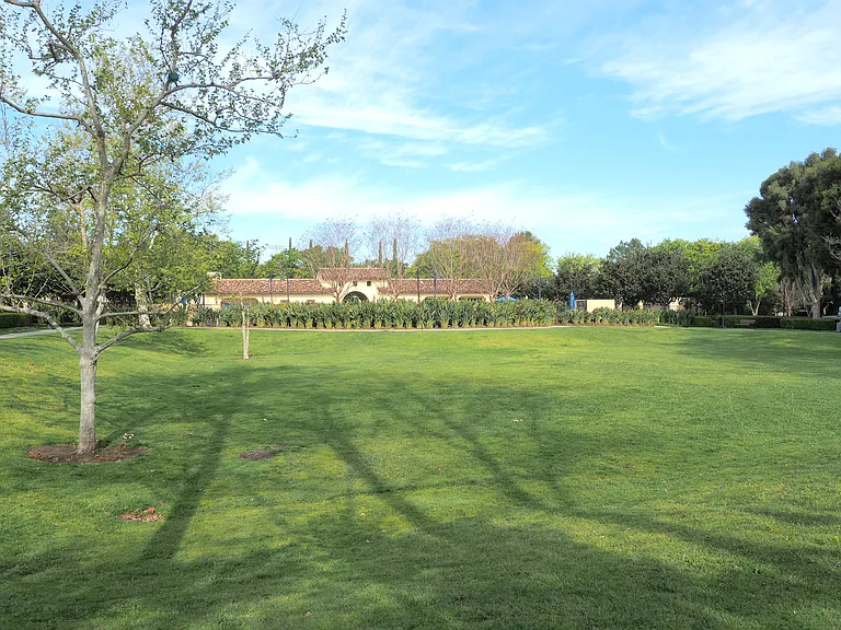 The Common Community Park Pool.