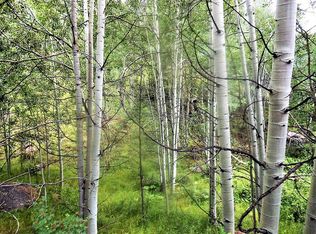 1399 May Queen Dr, Cripple Creek, CO 80813