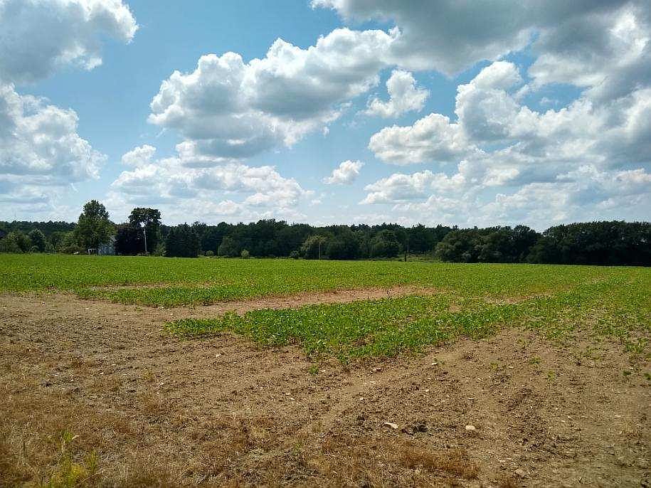 2nd image of 00 W South Hill Rd