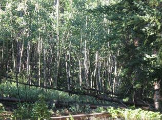 0 Georgia Pass Lookout, Jefferson, CO 80456