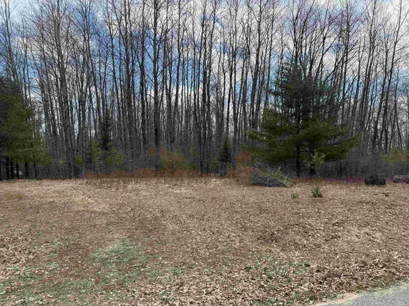 60 Sandbridge Ct, Gladwin, MI 48624
