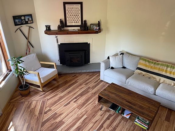 Pellet Burning Fire Place