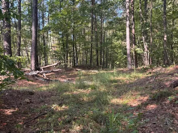 5421 Dixie Springs Rd, Oakman, AL 35579