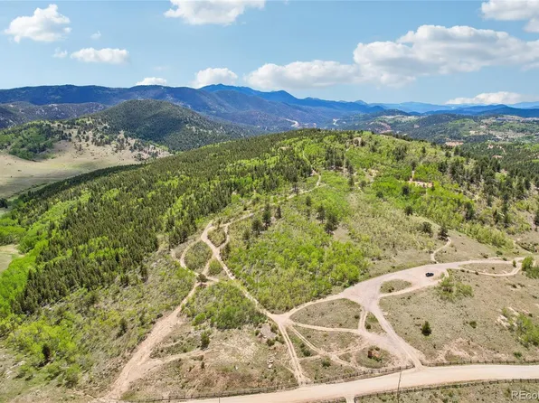 0001 Mac Rock Road, Central City, CO 80427
