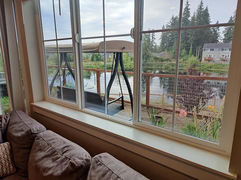 View from Great room