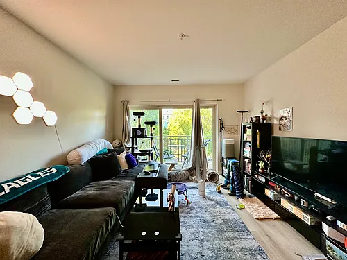 4 Repton Cir #4202 Photo 1